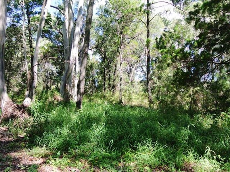 17 High Central Road, Macleay Island QLD 4184