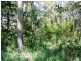 17 High Central Road, Macleay Island QLD 4184