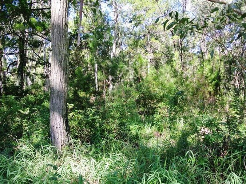 17 High Central Road, Macleay Island QLD 4184
