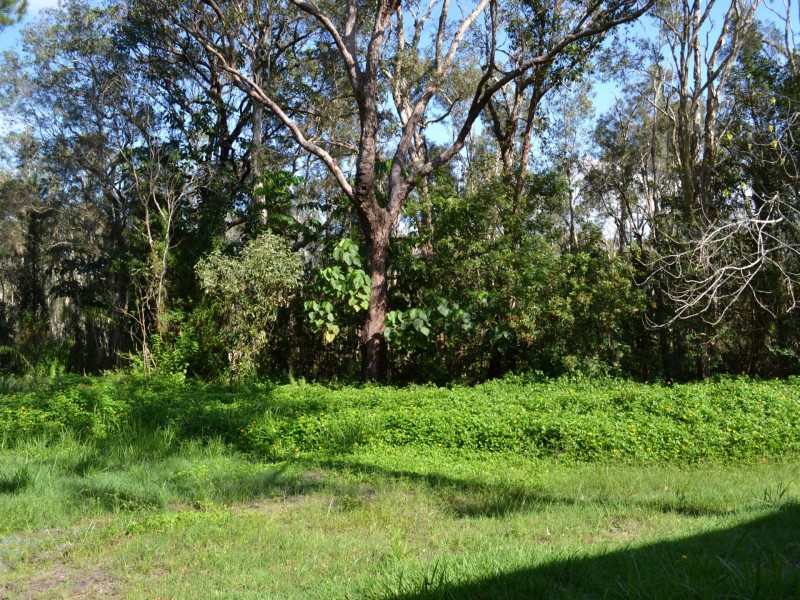 39 Alexander Street, Macleay Island QLD 4184
