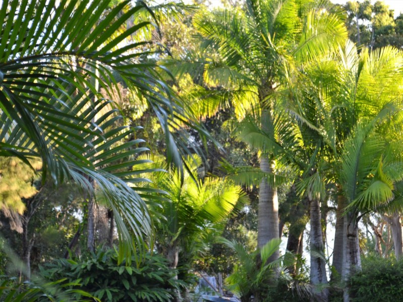 14 Calm Waters Crescent, Macleay Island QLD 4184