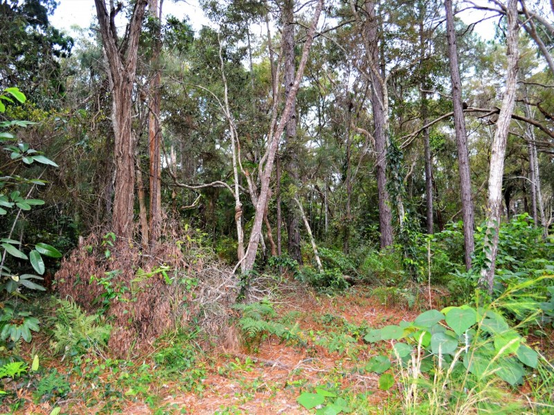 38 Alexander Street, Macleay Island QLD 4184