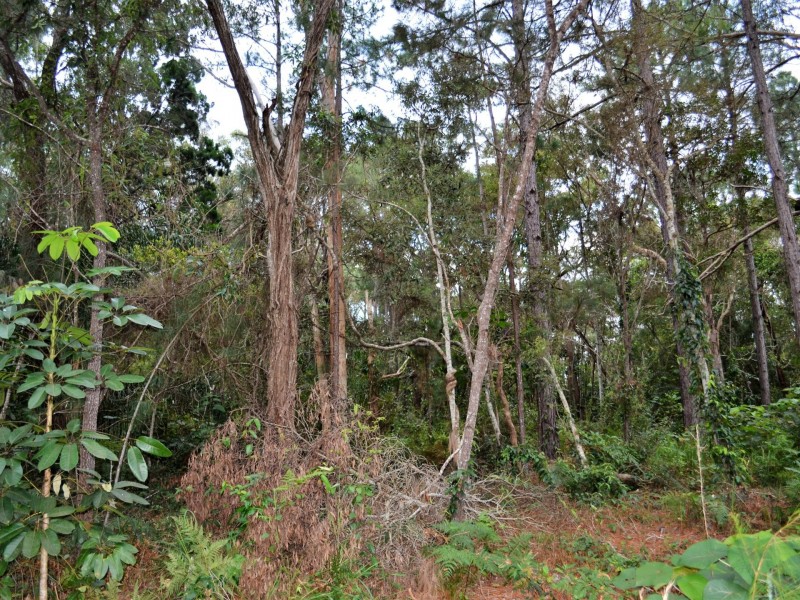 38 Alexander Street, Macleay Island QLD 4184