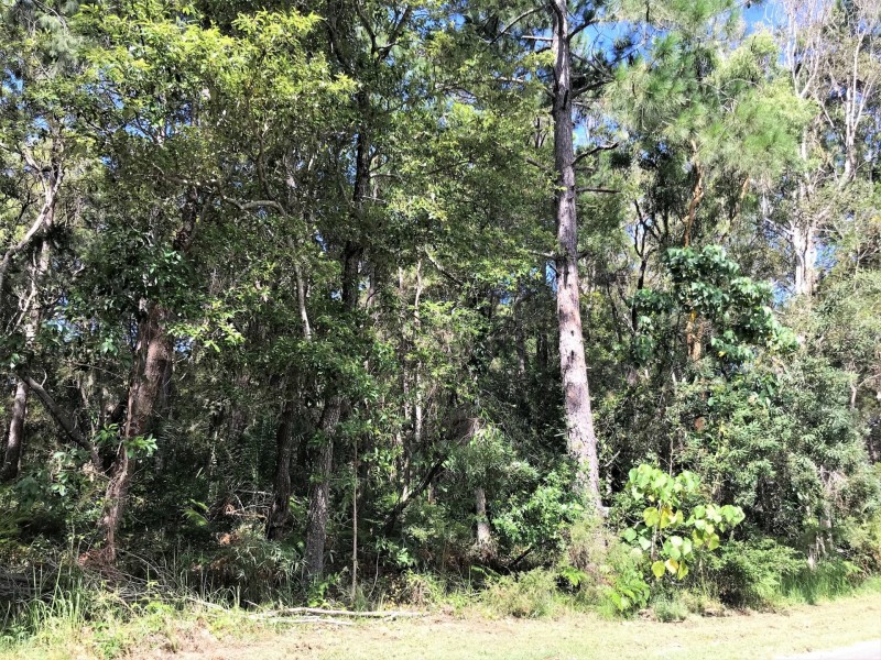 38 Alexander Street, Macleay Island QLD 4184