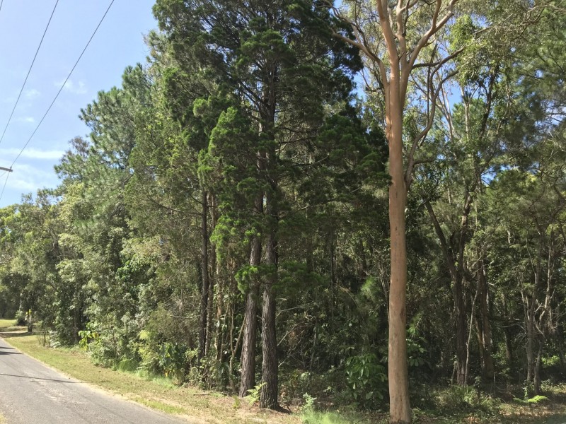 38 Alexander Street, Macleay Island QLD 4184