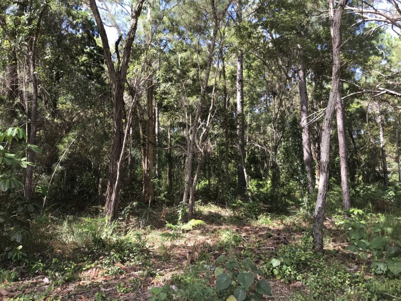 38 Alexander Street, Macleay Island QLD 4184