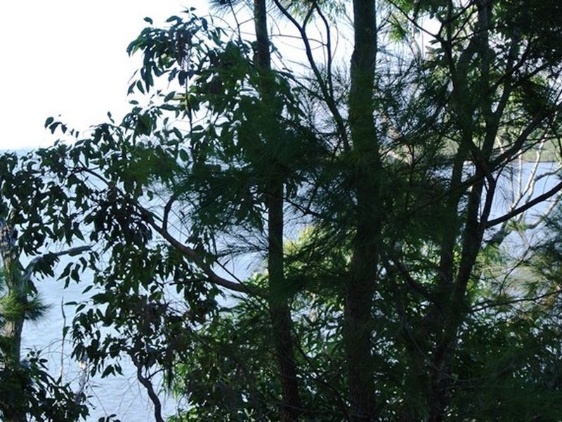 76 Timothy Street, Macleay Island QLD 4184