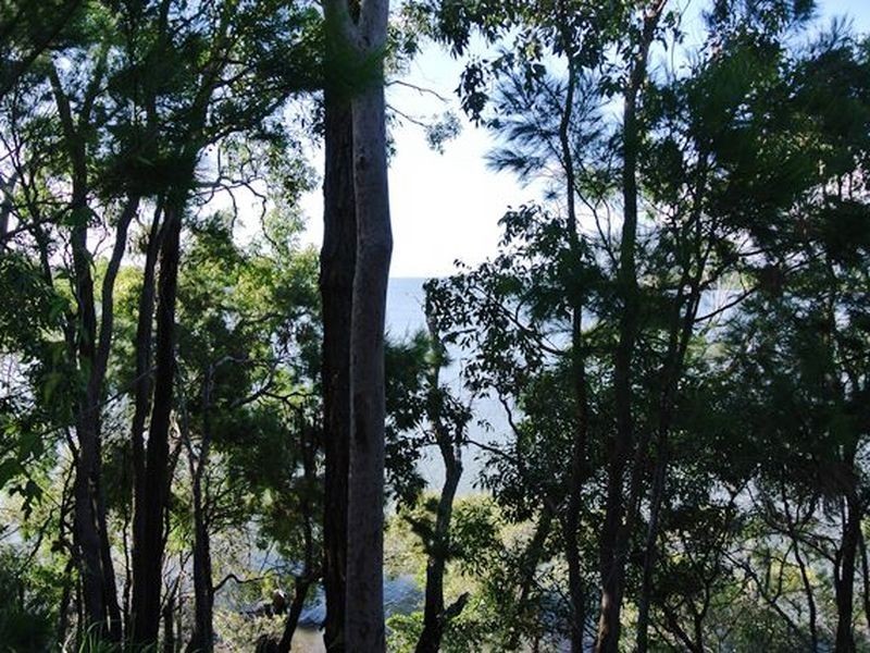 76 Timothy Street, Macleay Island QLD 4184