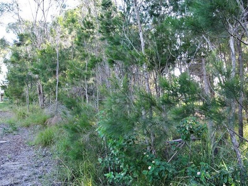 76 Timothy Street, Macleay Island QLD 4184