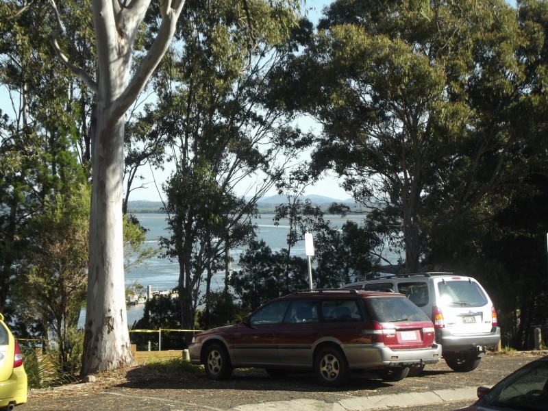 29 RussellTerrace, Macleay Island QLD 4184