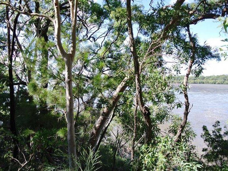 72 Timothy Street, Macleay Island QLD 4184