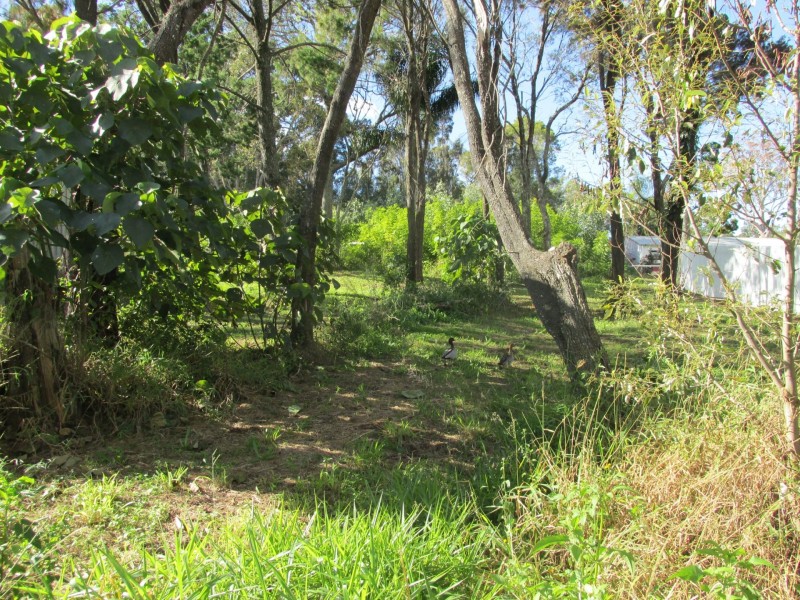 150 High Central Road, Macleay Island QLD 4184