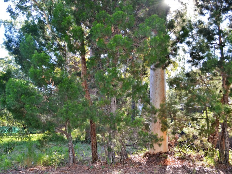 67 Kate Street, Macleay Island QLD 4184