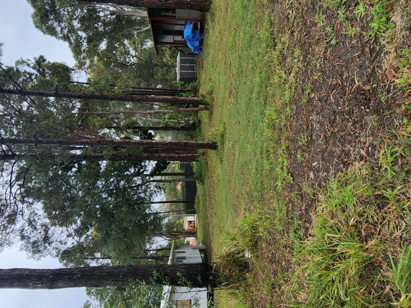 31 Nugent Street, Macleay Island QLD 4184