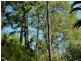 37 Kevin Street, Macleay Island QLD 4184