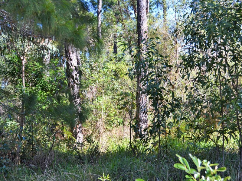 37 Kevin Street, Macleay Island QLD 4184