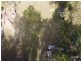 67 Coondooroopa Drive, Macleay Island QLD 4184