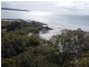 67 Coondooroopa Drive, Macleay Island QLD 4184