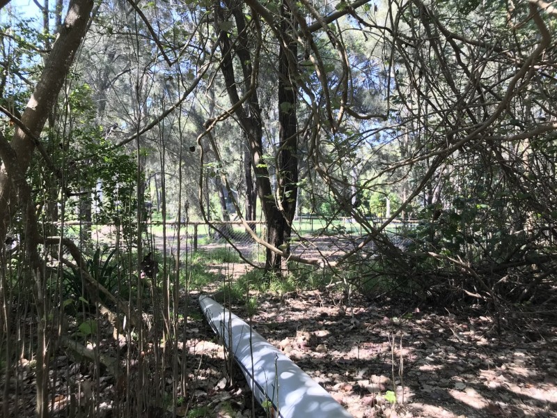 67 Coondooroopa Drive, Macleay Island QLD 4184