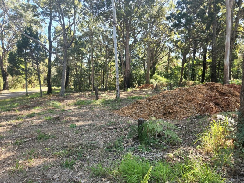 1 Brolga Street, Macleay Island QLD 4184