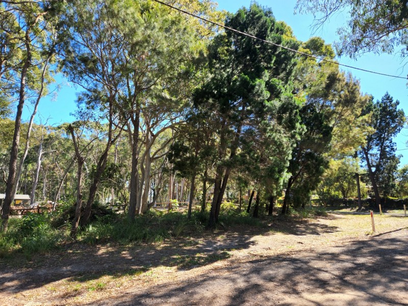 8 Parakeet Street, Macleay Island QLD 4184