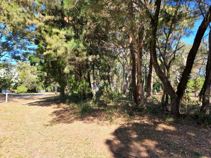 8 Parakeet Street, Macleay Island QLD 4184