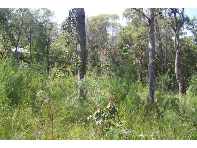 18 PIER HAVEN, Lamb Island QLD 4184