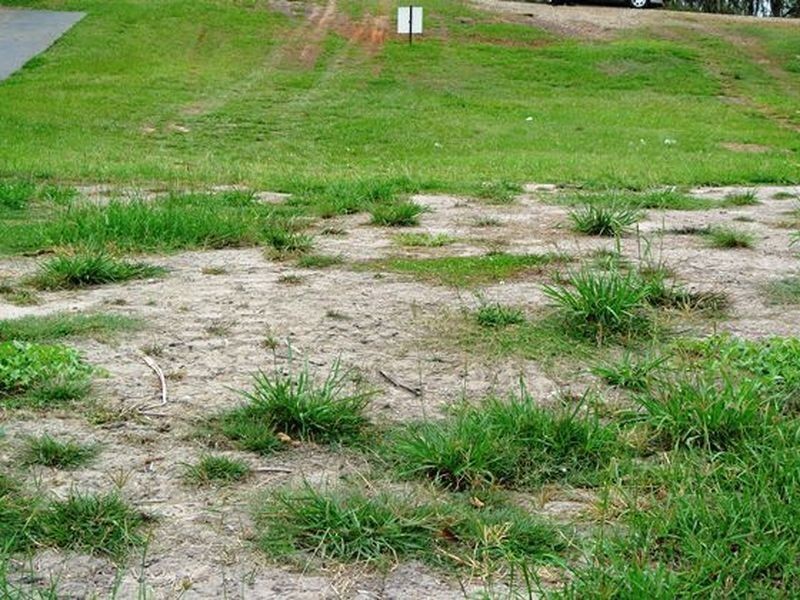 36 Coorong Street, Macleay Island QLD 4184