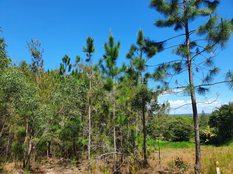 19 Piccaninny Street, Macleay Island QLD 4184