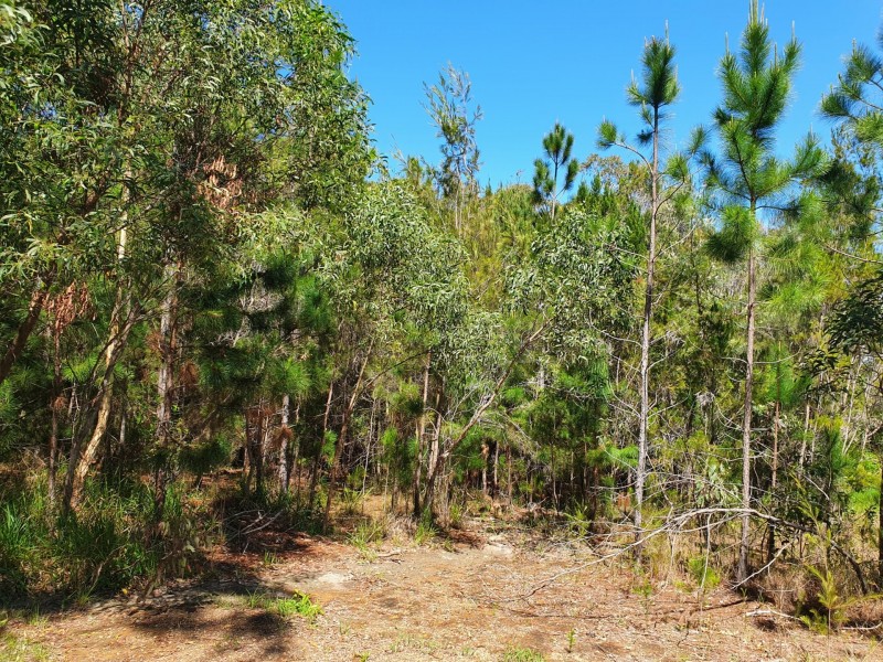 19 Piccaninny Street, Macleay Island QLD 4184