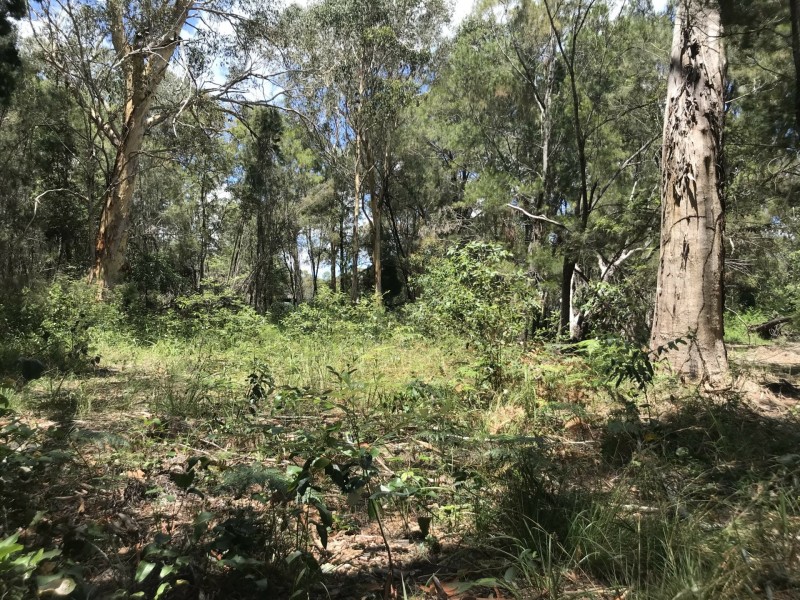 6 Garnet Street, Macleay Island QLD 4184