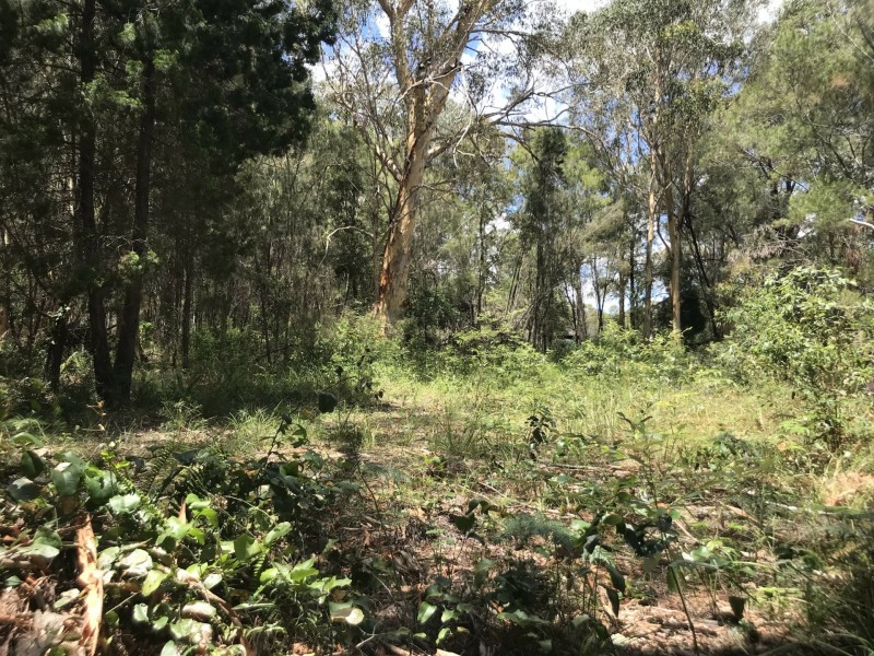 6 Garnet Street, Macleay Island QLD 4184