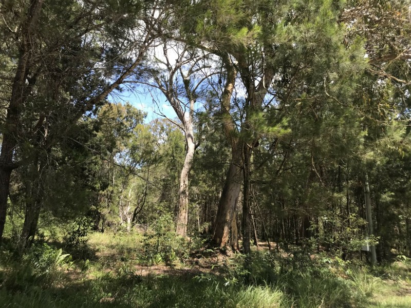 6 Garnet Street, Macleay Island QLD 4184