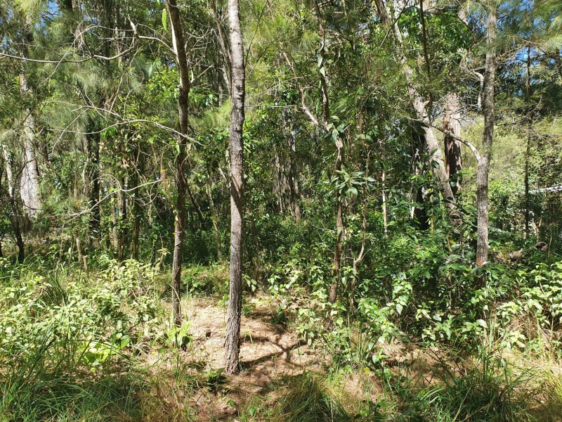 6 President Terrace, Macleay Island QLD 4184