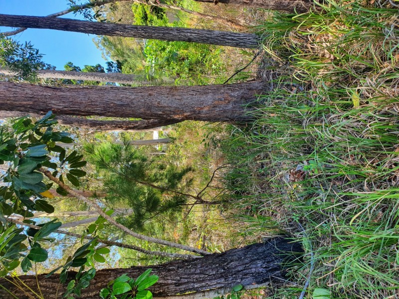 12 Heron Street, Macleay Island QLD 4184