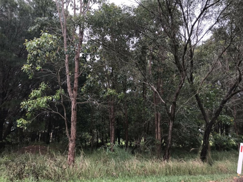 49 Camena Street, Macleay Island QLD 4184