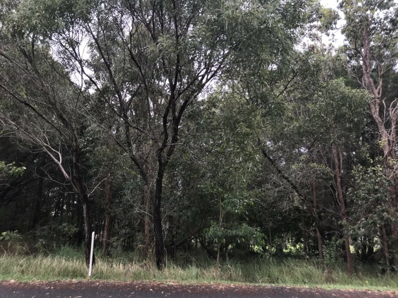 49 Camena Street, Macleay Island QLD 4184