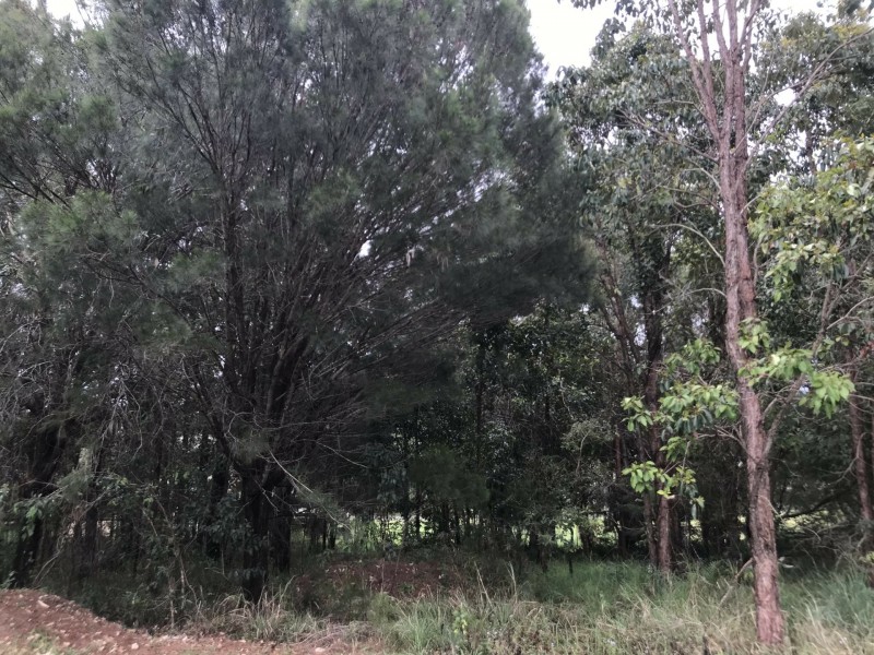 49 Camena Street, Macleay Island QLD 4184
