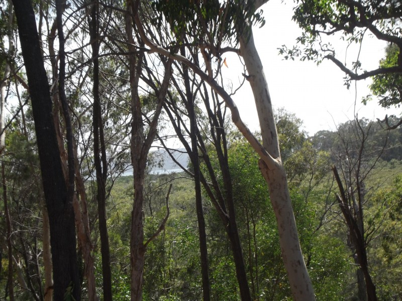 24-26. Timothy Street, Macleay Island QLD 4184