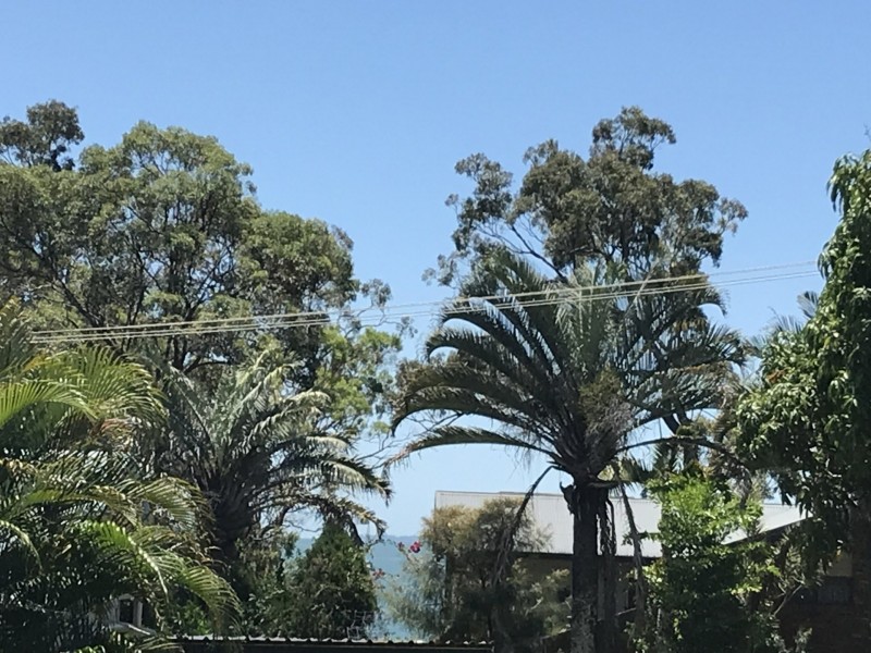 28 Curlew Street, Macleay Island QLD 4184