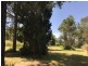 8 Allambie Street, Macleay Island QLD 4184