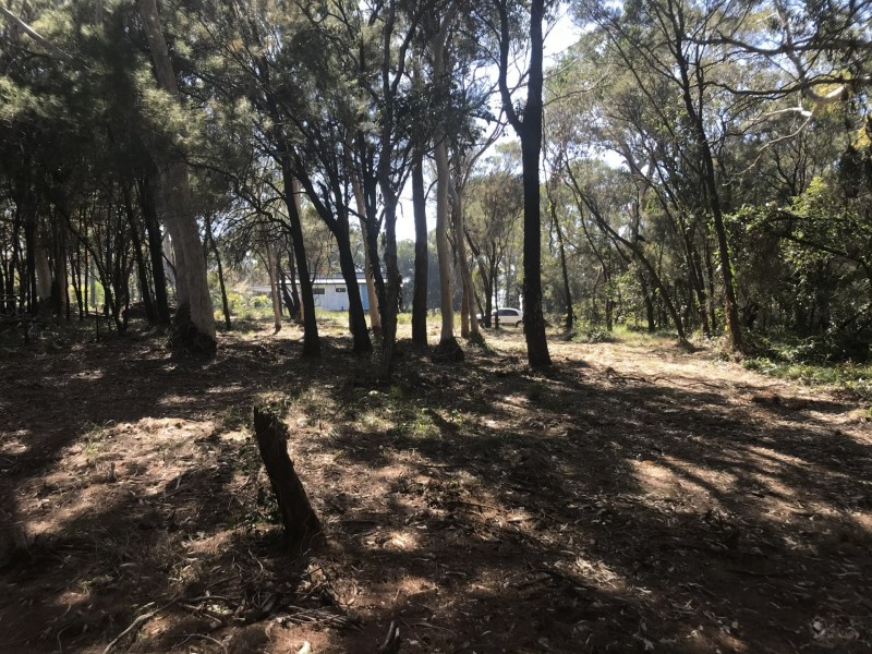 12. Matthew Street, Macleay Island QLD 4184