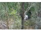 32 GOODSELL CRES, Lamb Island QLD 4184