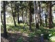 10 Piccaninny Street, Macleay Island QLD 4184