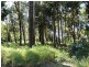 10 Piccaninny Street, Macleay Island QLD 4184
