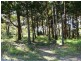 10 Piccaninny Street, Macleay Island QLD 4184