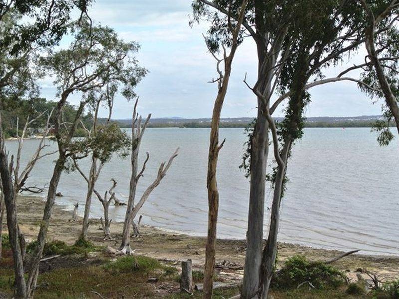 31 Benowa Street, Macleay Island QLD 4184