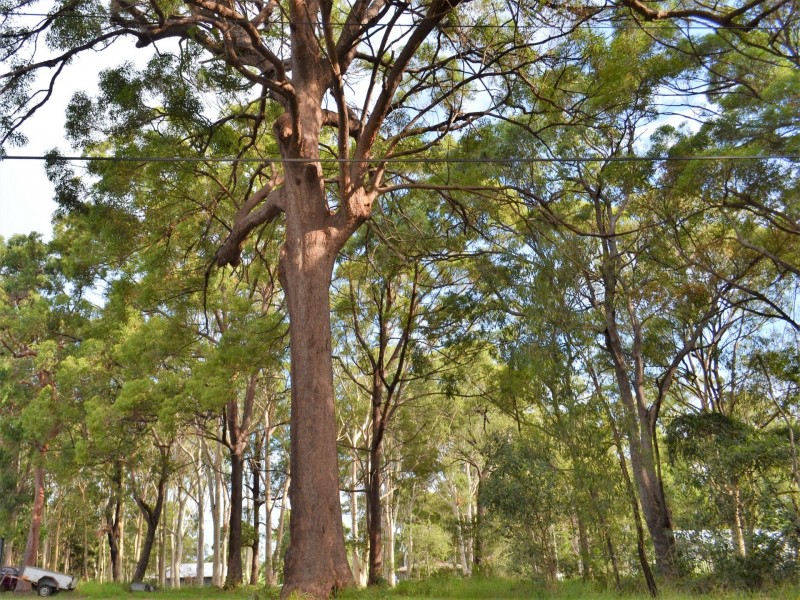 20 Noon Muckle Street, Macleay Island QLD 4184