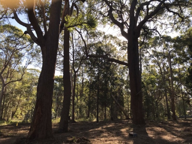 3-5 Orion Street, Macleay Island QLD 4184