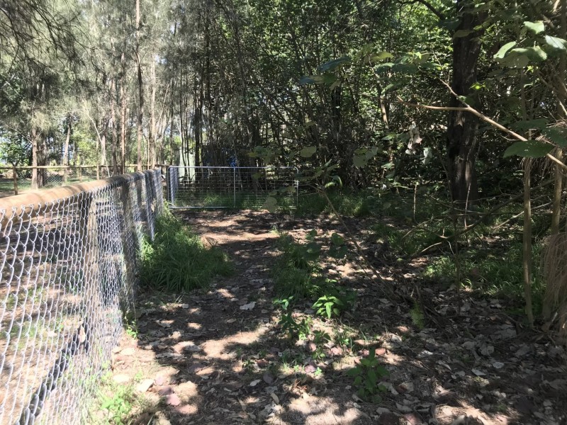 67 Coondooroopa Drive, Macleay Island QLD 4184